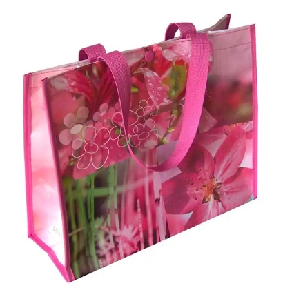 Bio-degradable & compostable bag made with PLA nonwoven